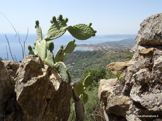 rta dei Saraceni-02-08-2019 11-20-56